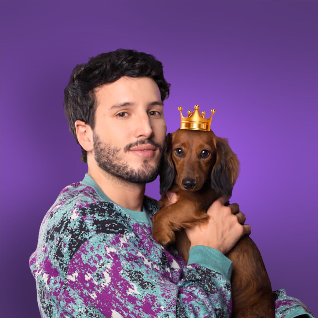 yatra y laika