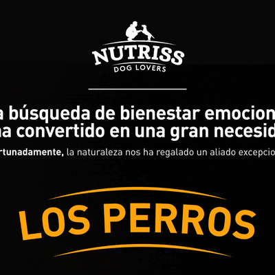 La estrategia detrás de llevar compañeros de cuatro patas a La Casa de