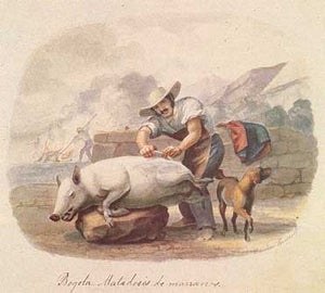 adn del consumidor 8