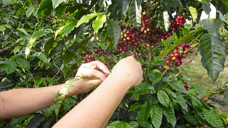 CEIPA, premiada por proyecto en matemáticas y soluciones empresariales