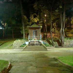 acción promo activación top 10 2017