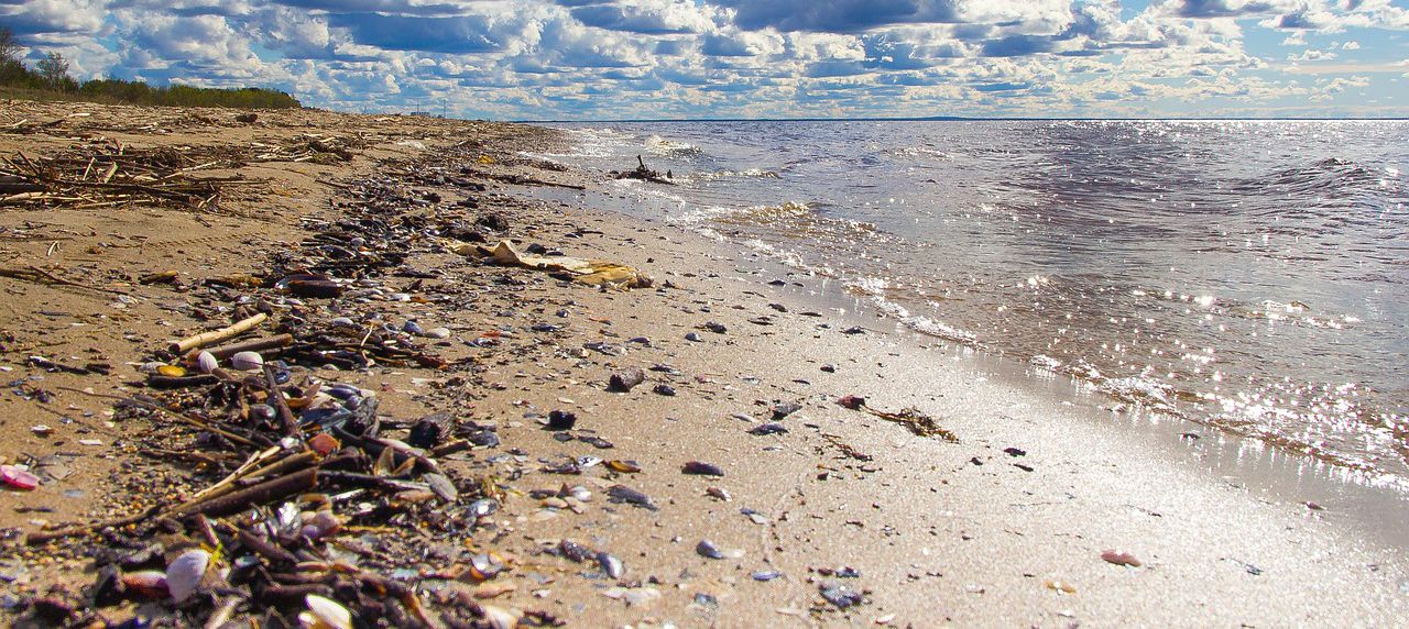 las marcas contaminan