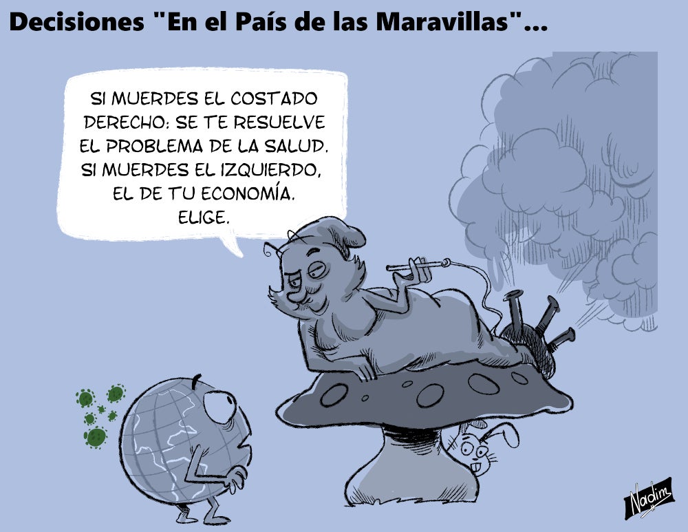 Decisiones en el país de las maravillas