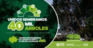 casos de mercadeo sostenible